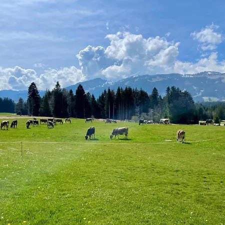 Deep Mountain Ofterschwang